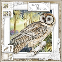 Beautiful Owl 2