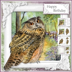 Beautiful Owl 4