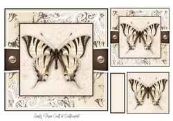 Butterfly A