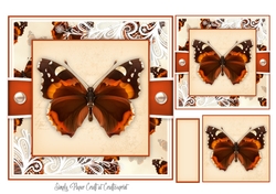 Butterfly C