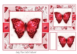 Butterfly G