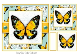 Butterfly O