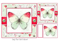Butterfly P