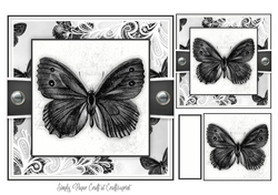 Butterfly X