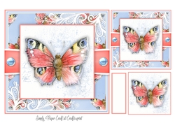 Butterfly Y