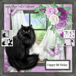 Cat in the Window 1