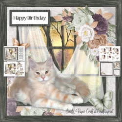 Cat in the Window 4