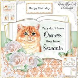 Cats have Servants 2
