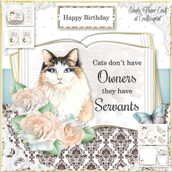 Cats have Servants 3