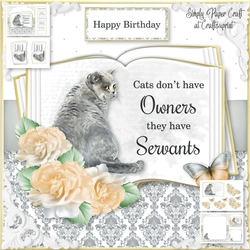Cats have Servants 4