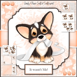 Corgi Puppy 1