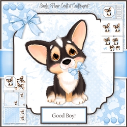 Corgi Puppy 2