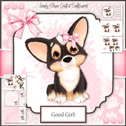 Corgi Puppy 3