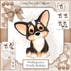 Corgi Puppy 4