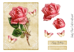 Single Rose 3