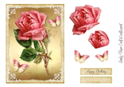 Single Rose 4