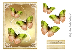 Butterflies 8