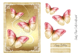 Butterflies 16