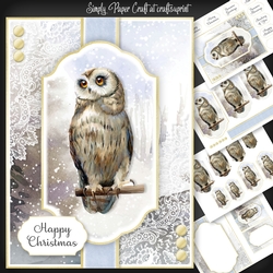 Owl Christmas and Birthday 1