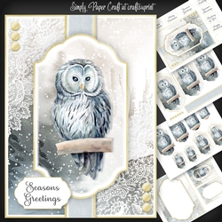 Owl Christmas and Birthday 2