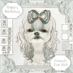 Cute Dog 4