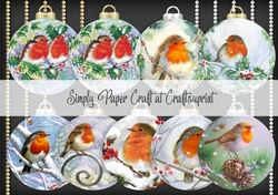 Robin Bauble 3