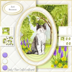 Cat Half Front Card 12