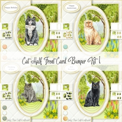 Cat Half Front Card Bumper Kit 1