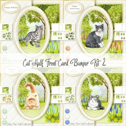 Cat Half Front Card Bumper Kit 2