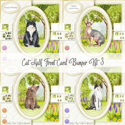 Cat Half Front Card Bumper Kit 3