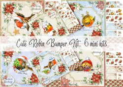 Cute Robin Bumper kit