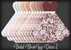 Bridal Blush Lace Dress 2