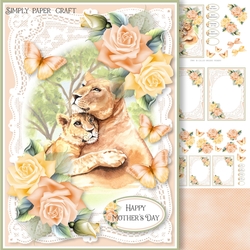 Lace and Roses 43