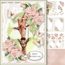 Lace and Roses 45