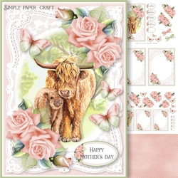 Lace and Roses 47