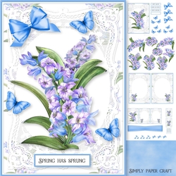 Lace and Spring 2