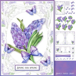 Lace and Spring 4