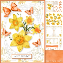 Lace and Spring 5