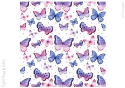 Sweet Butterflies 8x8 inch No1