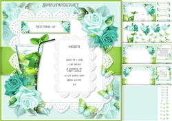 Mojito Cocktail Mini Kit