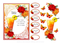 Tequila Sunrise Cocktail 