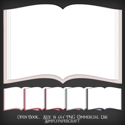 Flamingo Open Book