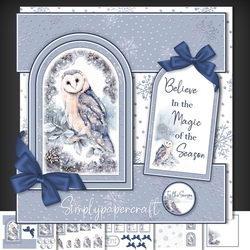 Owl Tent Fold Window Card Front Mini Kit