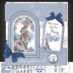 Hare Rabbit Tent Fold Window Card Front Mini Kit