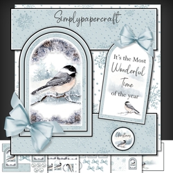 Winter Bird Tent Fold Window Card Front Mini Kit