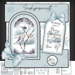 Winter Birds Tent Fold Window Card Front Mini Kit