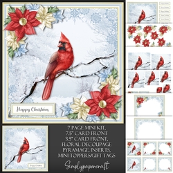 Red Cardinal Mini Kit