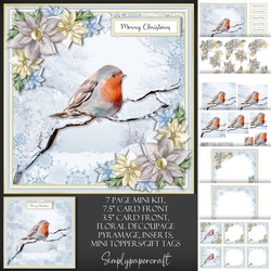 Robin Mini Kit