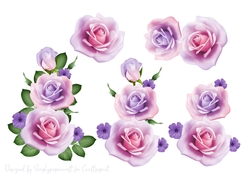 Rose Cluster Step by Step 2