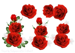 Rose Cluster Step by Step 7